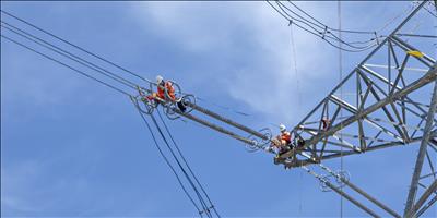 Tăng cường công tác kiểm tra, bảo dưỡng thiết bị đường dây 500kV Vĩnh Tân - rẽ Sông Mây - Tân Uyên nhằm đảm bảo cung cấp điện các tháng cuối năm